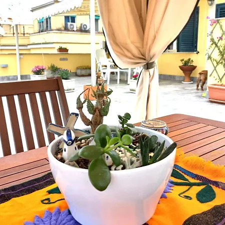 La Terrazza Di Silvana * Napoli